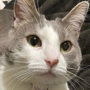 Meet your Posher, Julie